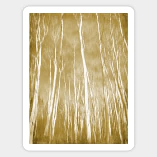 Aspen Forest Sticker